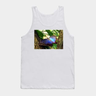 Purple and Blue Butterfly in Tree Tank Top